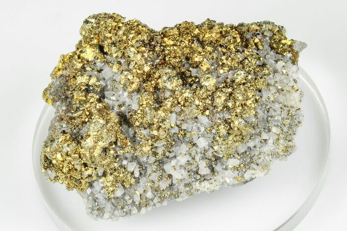 Lustrous, Golden Chalcopyrite Crystals -Sweetwater Mine, Missouri #193783